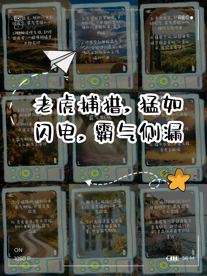 关于目光如炬，犹如隔世奇遇战术大放异彩的信息