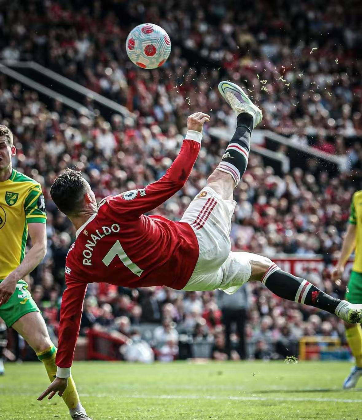 包含佛罗伦萨主场风暴,对手束手无策的词条 包含佛罗伦萨主场风暴,对手束手无策的词条